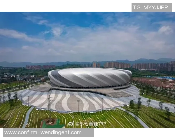 重庆足球学校的现状与发展前景探讨